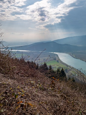 Le Rhône vers l'aval, mar. 2021