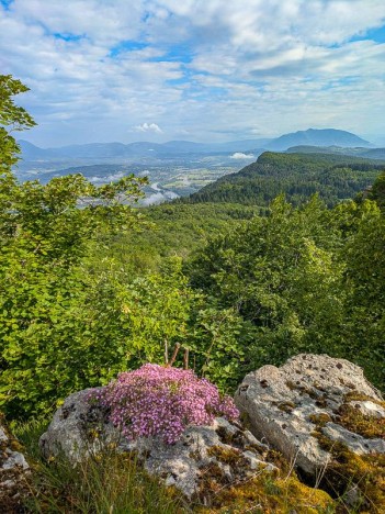 Le Belvédère du Chenais