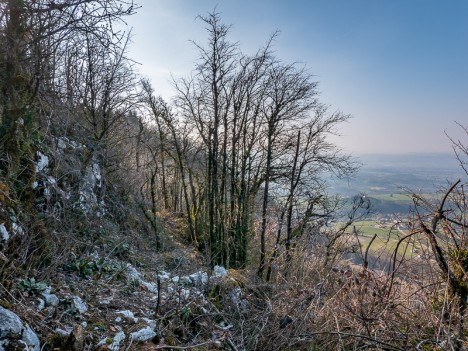 Sur le sentier de crête des Chenevières