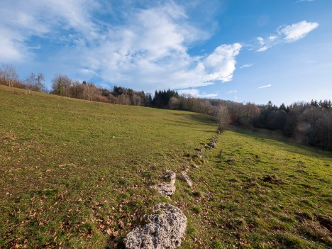 Chemin des Cingles (vers le Sud)