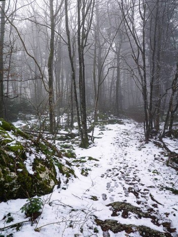 Brouillard entre les cols du Crucifix et de Saint-Michel