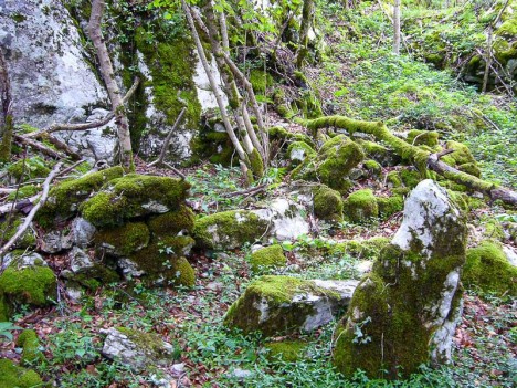 Vestige d'une probable cabane de berger au Col Saint Michel, Aiguebelette