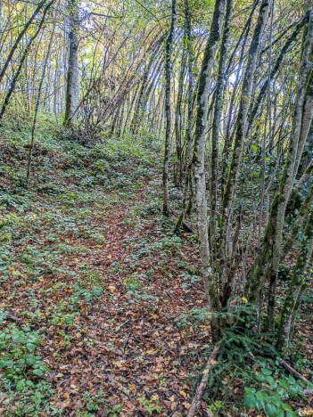 Le vieux sentier monte au Moine