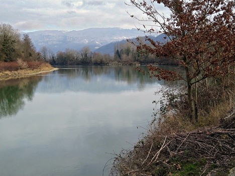 En rive gauche du Rhône, janv. 2023