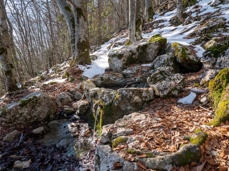 La Source de la Rouge, janv. 2020