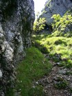 Par le couloir Nord de la Dent du Chat