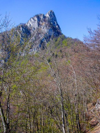 Versant Nord-Est de la Dent du Chat 1390m, Bourdeau