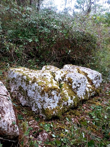 La pierre gisante des Fontaines dégagée des ronces, août 2023