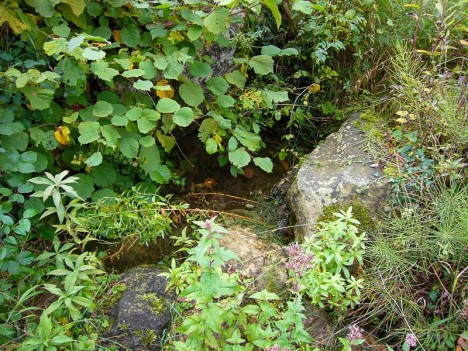 Source de la Grange des Rochettes - Loisieux