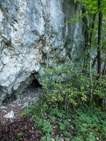 Grotte de la Louvière