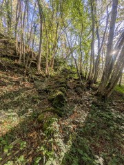 Vieux sentier à l'amont de la Léchère