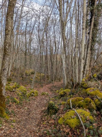 Le sentier à travers la Magne