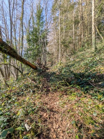 Le sentier de la Léchère (Amont)