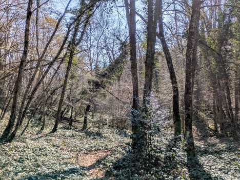 Le sentier au fond de la Léchère