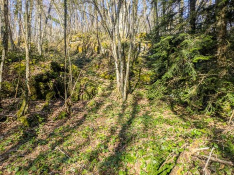 Le talweg d'accès à la rive gauche de la Léchère
