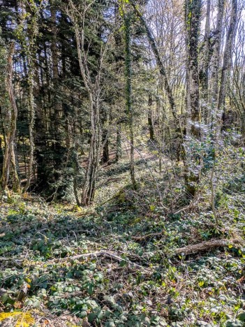 Descente du talweg pour rejoindre le chemin de l'Abully