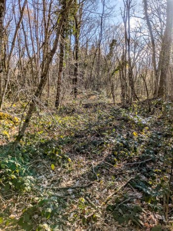 Le sentier oublié