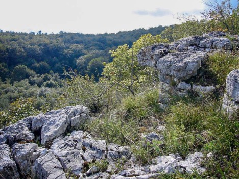 Belvédère de la Lechere