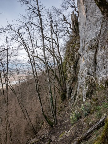 Falaise de Malacote, écaille