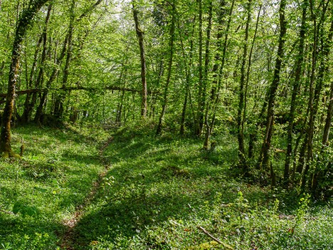 Sentier, raccourci l'Abully