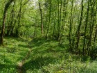 Sentier, raccourci l'Abully