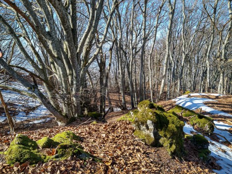 Cime 969 du Mont de la Charvaz, févr. 2023