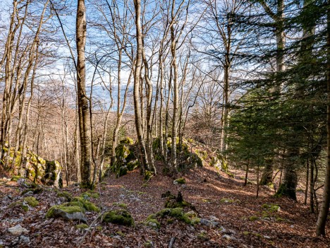 Mamelon rocheux vers 945 mètres - prendre à droite, mar. 2020