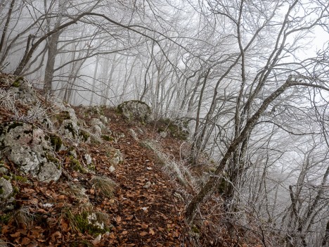 Le sentier du Mont de la Charvaz, déc. 2019