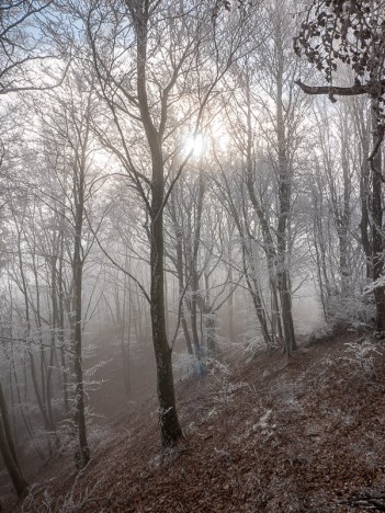 Le sentier du Mont de la Charvaz, déc. 2019