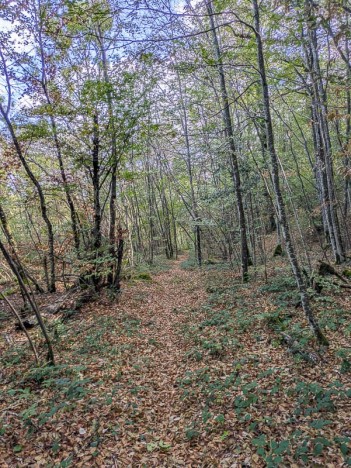 Le sentier descend vers au Moine