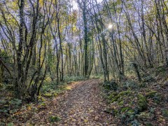 Par le chemin du Col du Mont Tournier