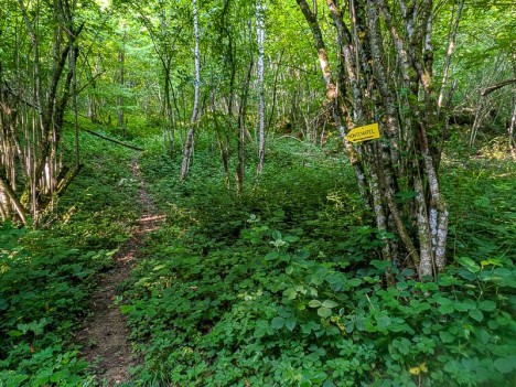 Sentier Nord du Mont Chatel