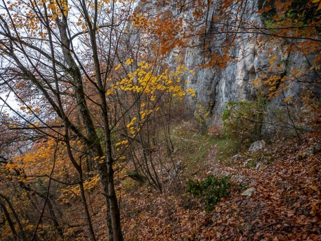 Sentier au pied des falaises