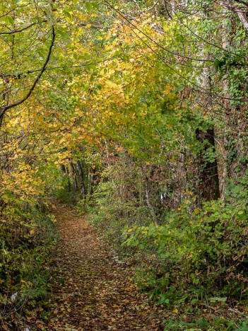 Le sentier du Fanget en automne