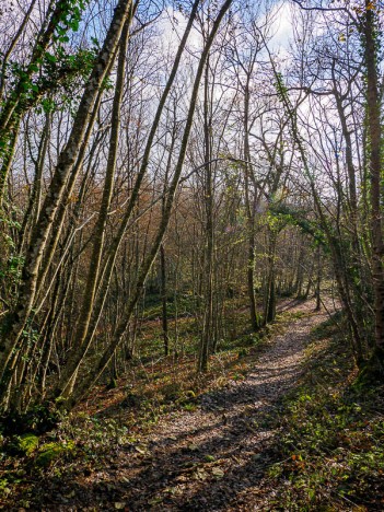 Sentier du Mont Tournier, déc. 2023