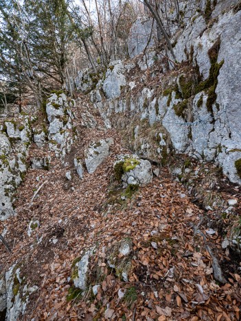 Sentier de Roche Plane, mars 2023