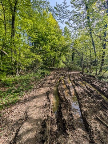 Ornières boueuses à travers les Grands Plats