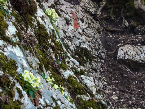 Dans le mauvais pas sous les Balmes – Nances