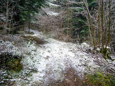 Au Col du Mont Tournier la neige commence à tenir, Saint Maurice de Rotherens