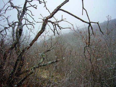 Il neige au Mont Chatel, Saint Pierre d'Alvey