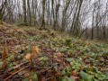 Borne à la jonction du Chemin du Pic de l'Aigle