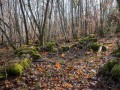 Ruine du plateau du Pic de Glaize