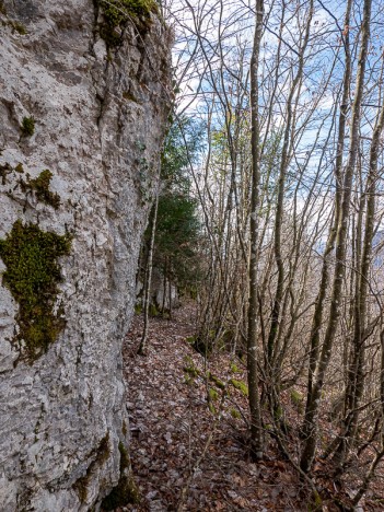 Le sentier de la Roche Cerclée au pied des falaises, mars 2023