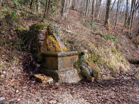 La fontaine de Rojux, mars 2023