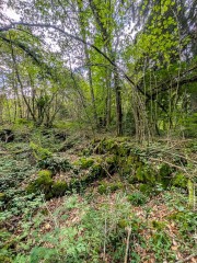 La ruine du Mont