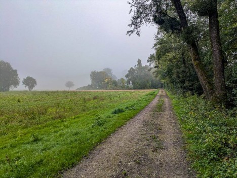 Chemin d'exploitation à travers le Brotelot