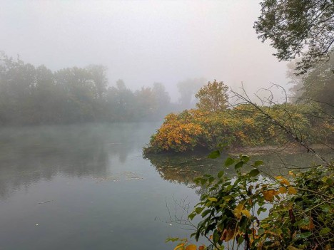 Au confluent coloré de l'automne du Rhône et d'une lône