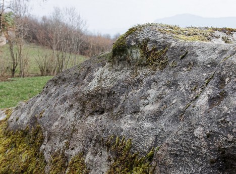 Pierre à cupules, détail Nord