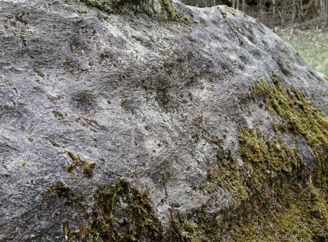 Pierre à cupules, détail Sud