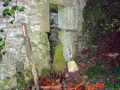 Ruines de la maison du Cornu - Yenne, Savoie